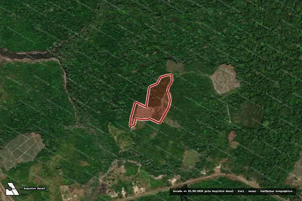 Imagem de satélite de Infração da Flora em Itacoatiara - AM