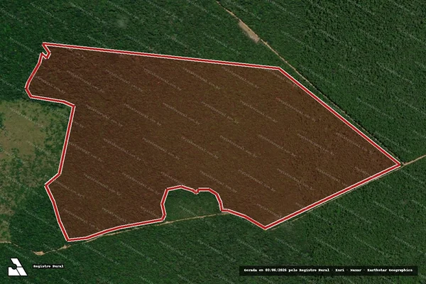 Imagem de satélite de Infração da Flora em Brasília - DF