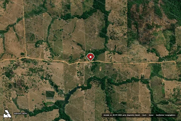 Imagem de satélite de Infração da Flora em Colniza - MT (marcador da localização)