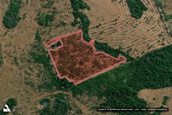 Imagem de satélite — Embargo IBAMA — Infração da Flora — Nova Monte Verde/MT