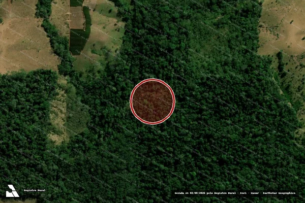 Imagem de satélite — Embargo Ambiental - Alta Floresta D'Oeste/RO