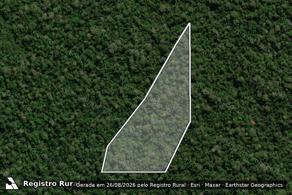 Imagem de satélite de Infração Ambiental em Colniza - MT