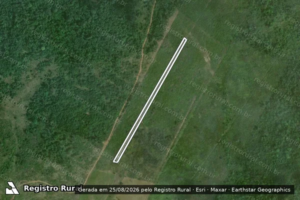 Imagem de satélite — Embargo Ambiental - Iracema/RR