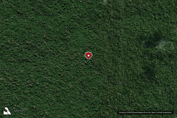 Imagem de satélite de Infração Ambiental em Machadinho D'Oeste - RO (marcador da localização)