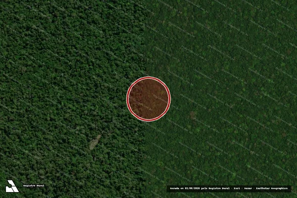 Imagem de satélite de Infração Ambiental em União do Sul - MT
