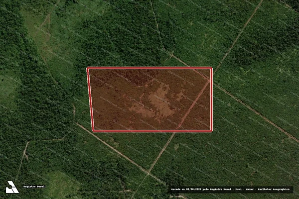 Imagem de satélite de Infração da Flora em Marcelândia - MT