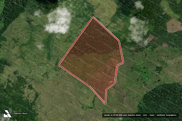 Imagem de satélite de Infração da Flora em Óbidos - PA