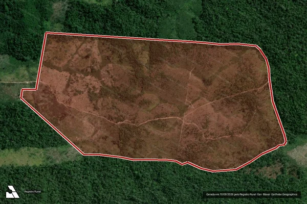 Imagem de satélite de Infração da Flora em Pacajá - PA