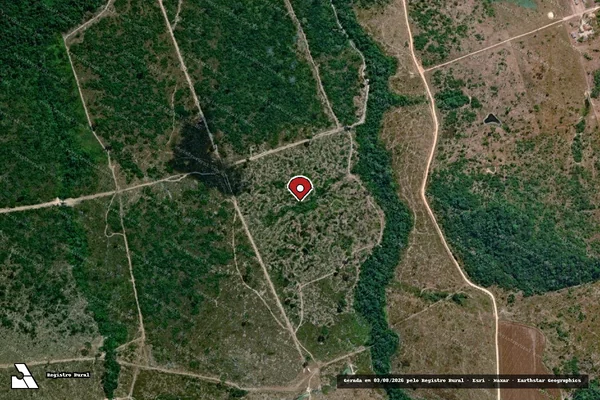Imagem de satélite de Infração da Flora em Novo Progresso - PA (marcador da localização)