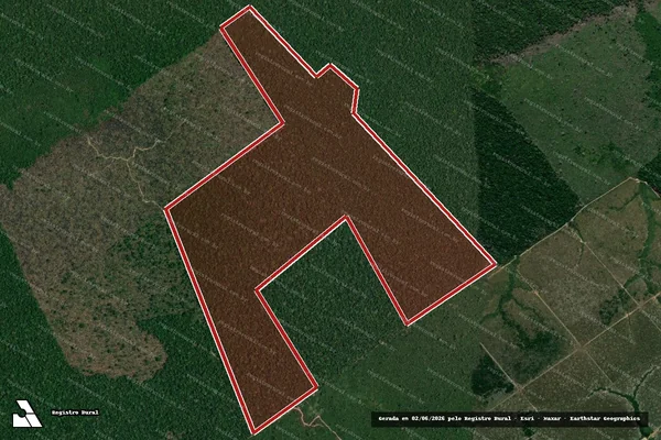 Imagem de satélite de Infração da Flora em Lábrea - AM