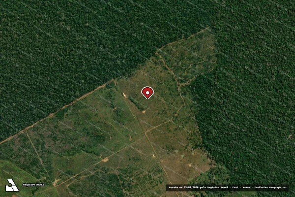 Imagem de satélite de Infração Ambiental em Boca do Acre - AM (marcador da localização)