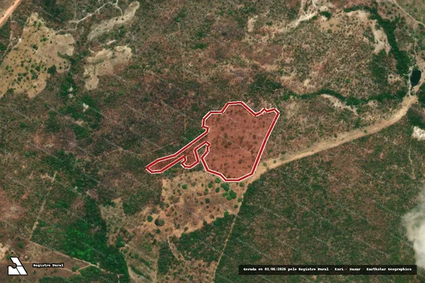 Imagem de satélite de Infração da Flora em Colinas do Sul - GO
