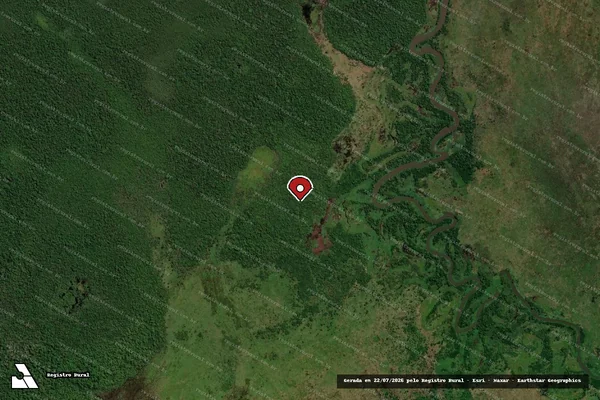 Imagem de satélite de Infração Ambiental em São Francisco do Guaporé - RO (marcador da localização)