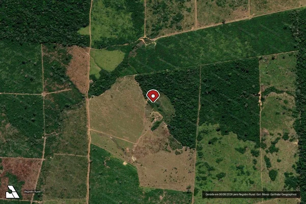 Imagem de satélite de Infração da Flora em Humaitá - AM (marcador da localização)