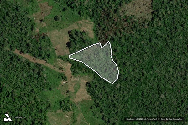 Imagem de satélite de Infração Ambiental em Senador José Porfírio - PA