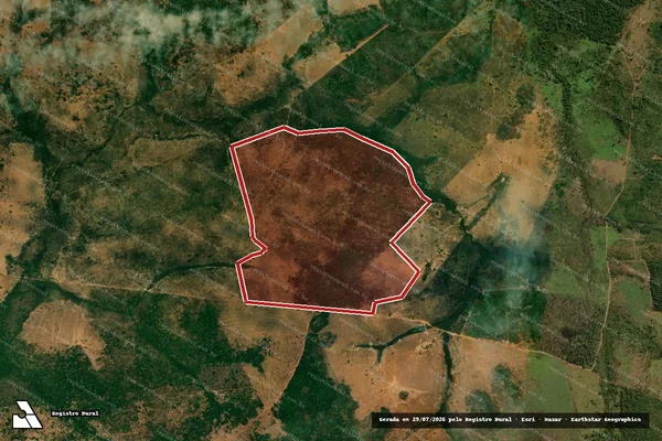 Imagem de satélite de Infração da Flora em Serra Nova Dourada - MT