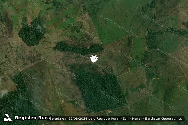 Imagem de satélite de Infração da Flora em Apuí - AM (marcador da localização)