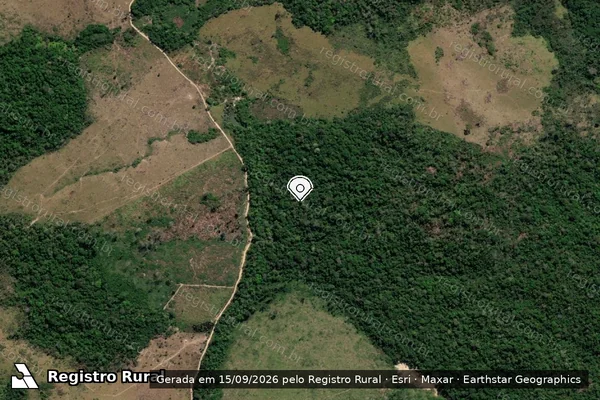 Imagem de satélite de Infração Ambiental em Itaituba - PA (marcador da localização)