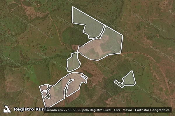 Imagem de satélite de Infração da Flora em Paraíso do Tocantins - TO