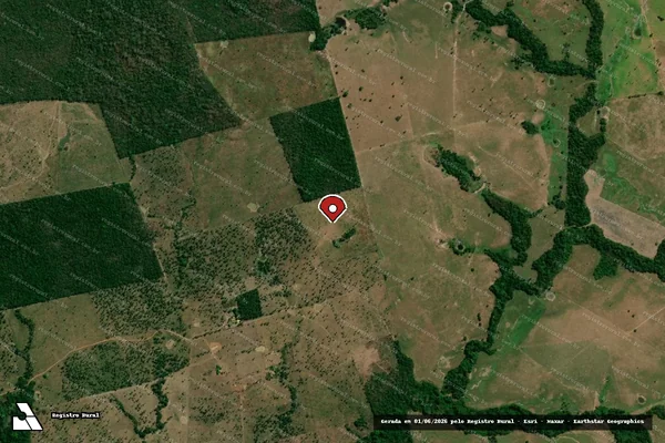 Imagem de satélite — Embargo IBAMA — Infração da Flora — Riachinho/TO