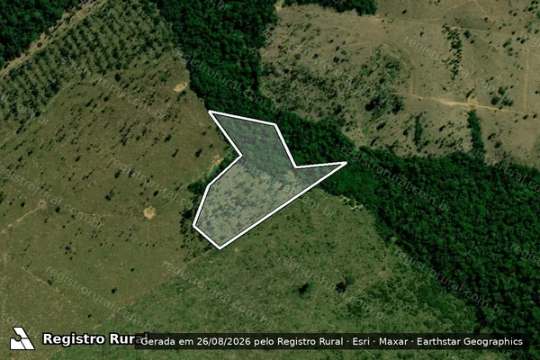 Imagem de satélite de Infração da Flora em Machadinho D'Oeste - RO