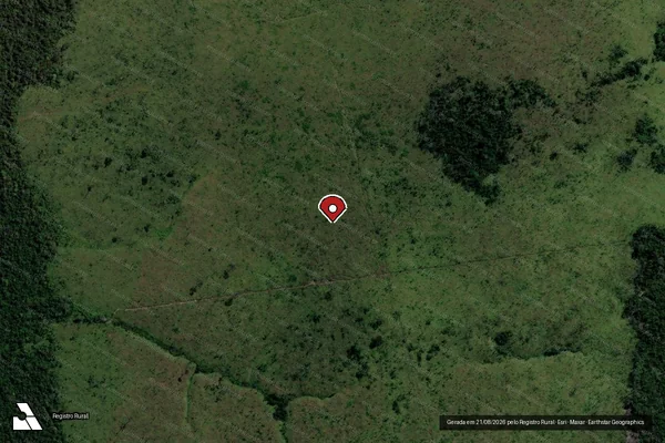 Imagem de satélite de Infração Ambiental em Altamira - PA (marcador da localização)