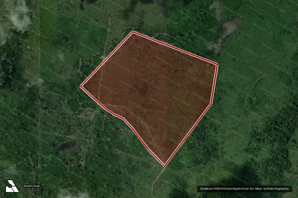 Imagem de satélite de Infração da Flora em São Félix do Xingu - PA