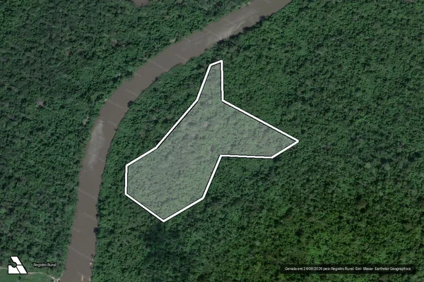 Imagem de satélite de Infração da Flora em Novo Progresso - PA