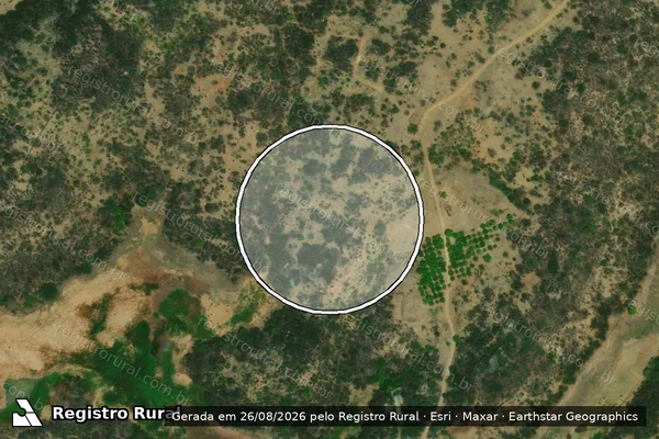 Imagem de satélite — Embargo IBAMA — Infração Ambiental - Pombal/PB