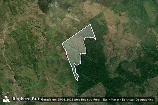 Imagem de satélite — Embargo IBAMA — Infração da Flora — Bom Jesus do Tocantins/PA