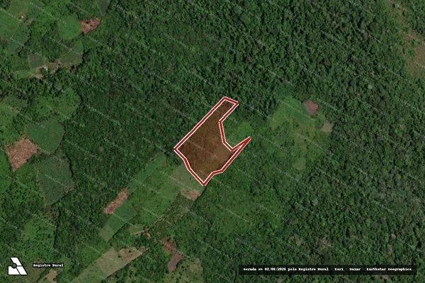Imagem de satélite — Embargo IBAMA — Infração Ambiental - Igarapé-Miri/PA