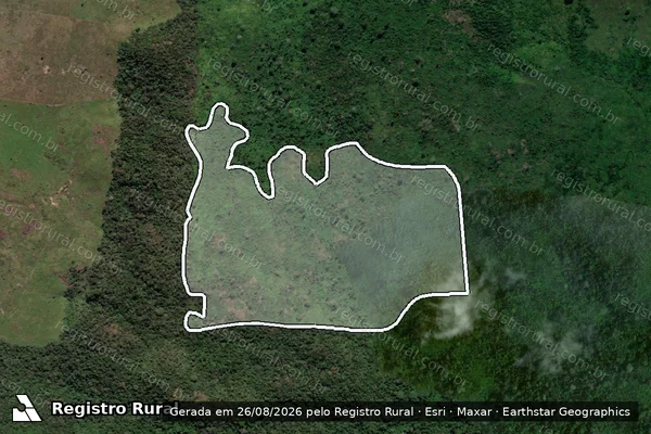 Imagem de satélite de Infração da Flora em São Félix do Xingu - PA