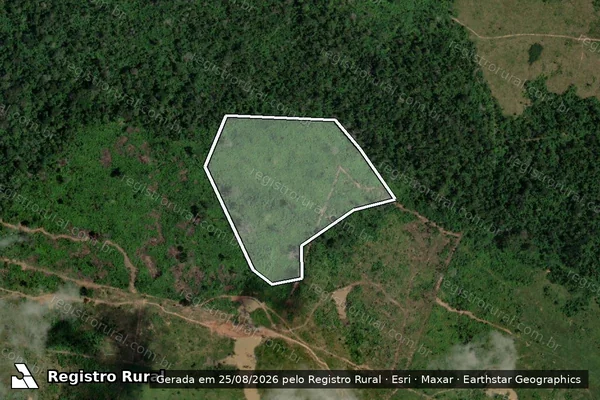 Imagem de satélite de Infração da Flora em Boca do Acre - AM