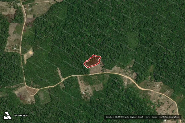 Imagem de satélite de Infração Ambiental em Manaus - AM