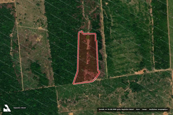 Imagem de satélite de Infração Ambiental em Porto Velho - RO