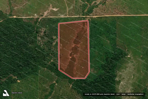 Imagem de satélite de Infração da Flora em Porto Velho - RO