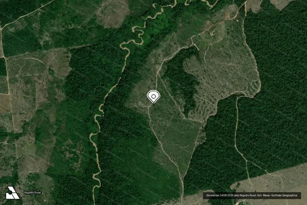 Imagem de satélite de Infração Ambiental em Goianésia do Pará - PA (marcador da localização)