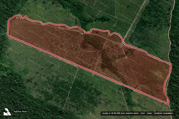 Imagem de satélite de Infração da Flora em Novo Progresso - PA