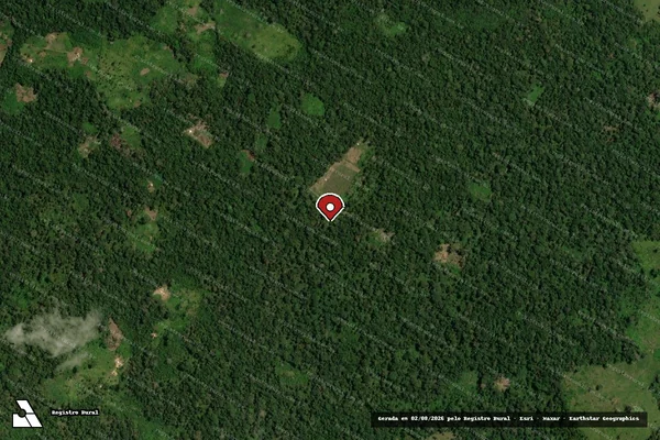 Imagem de satélite — Embargo IBAMA — Infração da Flora - Capixaba/AC