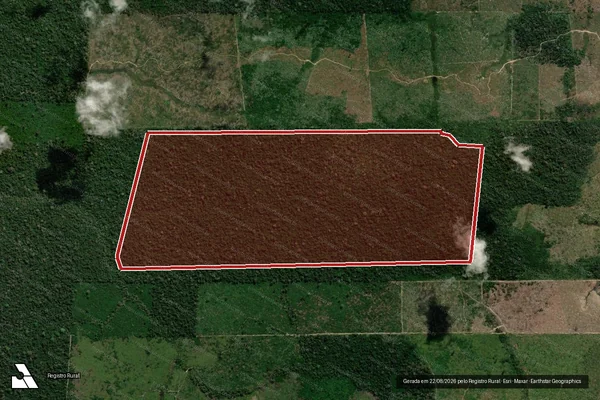 Imagem de satélite de Infração da Flora em Colniza - MT