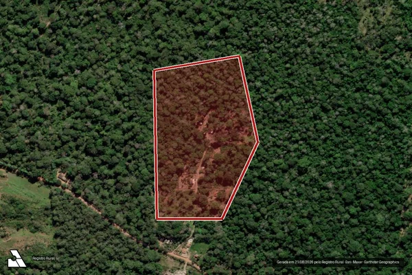 Imagem de satélite de Infração da Flora em Linhares - ES