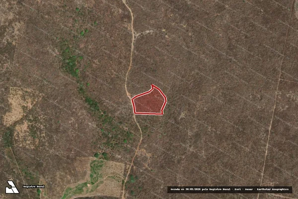 Imagem de satélite de Infração da Flora em Boa Viagem - CE