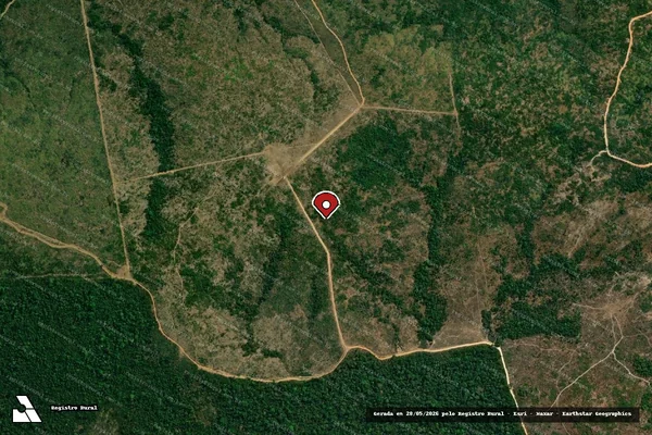 Imagem de satélite de Infração da Flora em Apiacás - MT (marcador da localização)