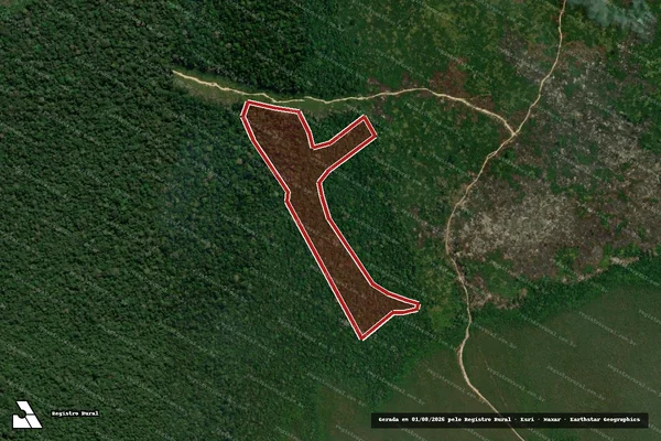 Imagem de satélite de Infração da Flora em Apuí - AM