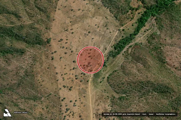Imagem de satélite de Desmatamento em Campinaçu - GO