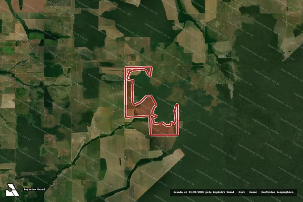 Imagem de satélite de Infração da Flora em São Miguel do Guaporé - RO