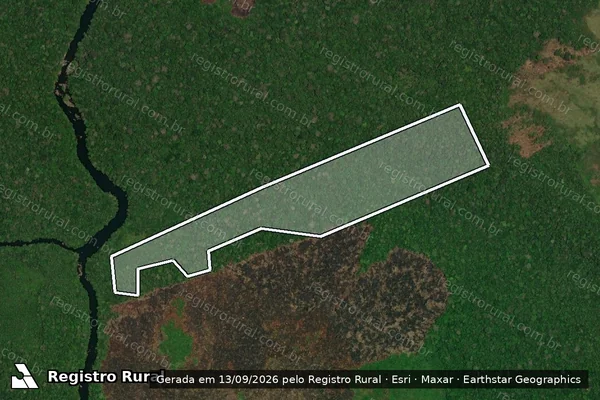 Imagem de satélite — Embargo IBAMA — Infração da Flora - Apuí/AM