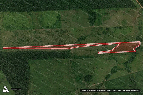Imagem de satélite de Infração da Flora em Aripuanã - MT