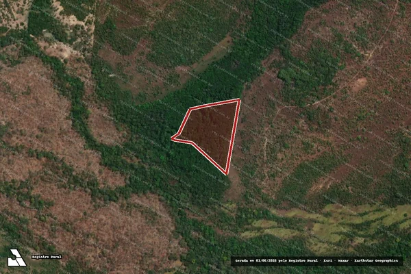Imagem de satélite — Embargo IBAMA — Infração Ambiental — Monte do Carmo/TO