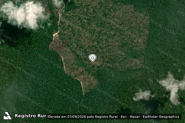 Imagem de satélite de Infração da Flora em Portel - PA (marcador da localização)